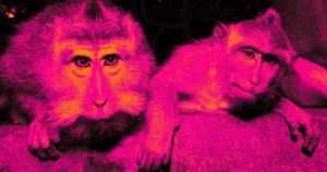 Neuralink's First Human Patient: No Need to Fear the Monkey Business