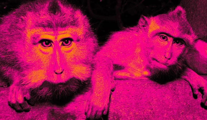 Neuralink's First Human Patient: No Need to Fear the Monkey Business
