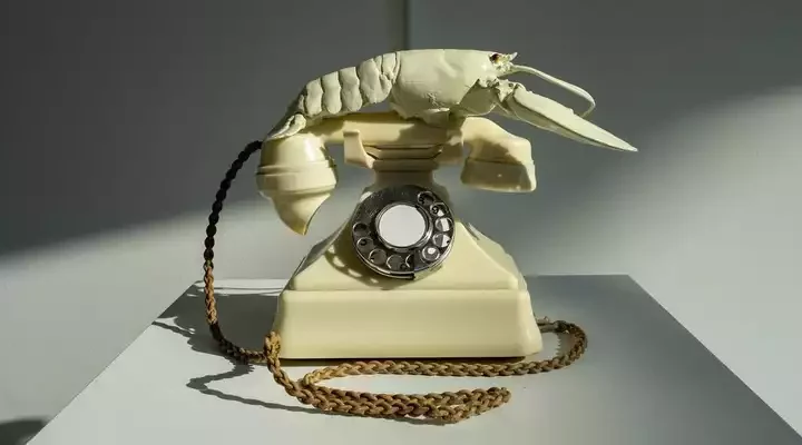 Dial Up the Quirk: Chatting with Salvador Dalí on His Lobster Phone