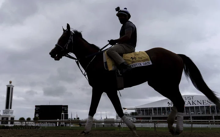 Mystik Dan gallops towards victory in the 149th Preakness showdown