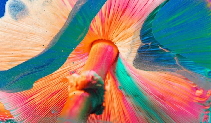 Psychedelic Therapy: The Surprising Side Effect of Magic Mushrooms