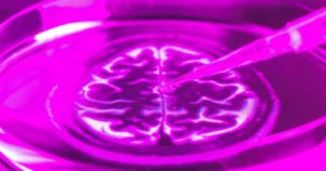 Brains in a Jar: The Quest for Consciousness in the Lab