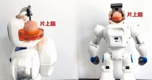 Brainy Bot: The Future of Robotics with Human Brain Cells