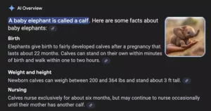 Google AI Search Blunder: Miniature Elephant Image Sparks Accuracy Concerns