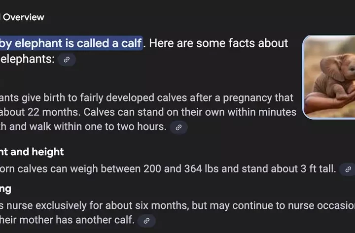 Google AI Search Blunder: Miniature Elephant Image Sparks Accuracy Concerns
