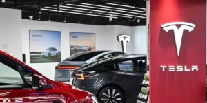 Tesla Shares Tumble as China Sales Plummet 49% in February